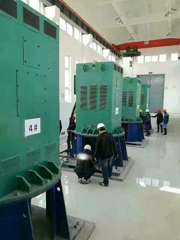 台州某污水处理厂使用我厂的立式高压电机安装现场